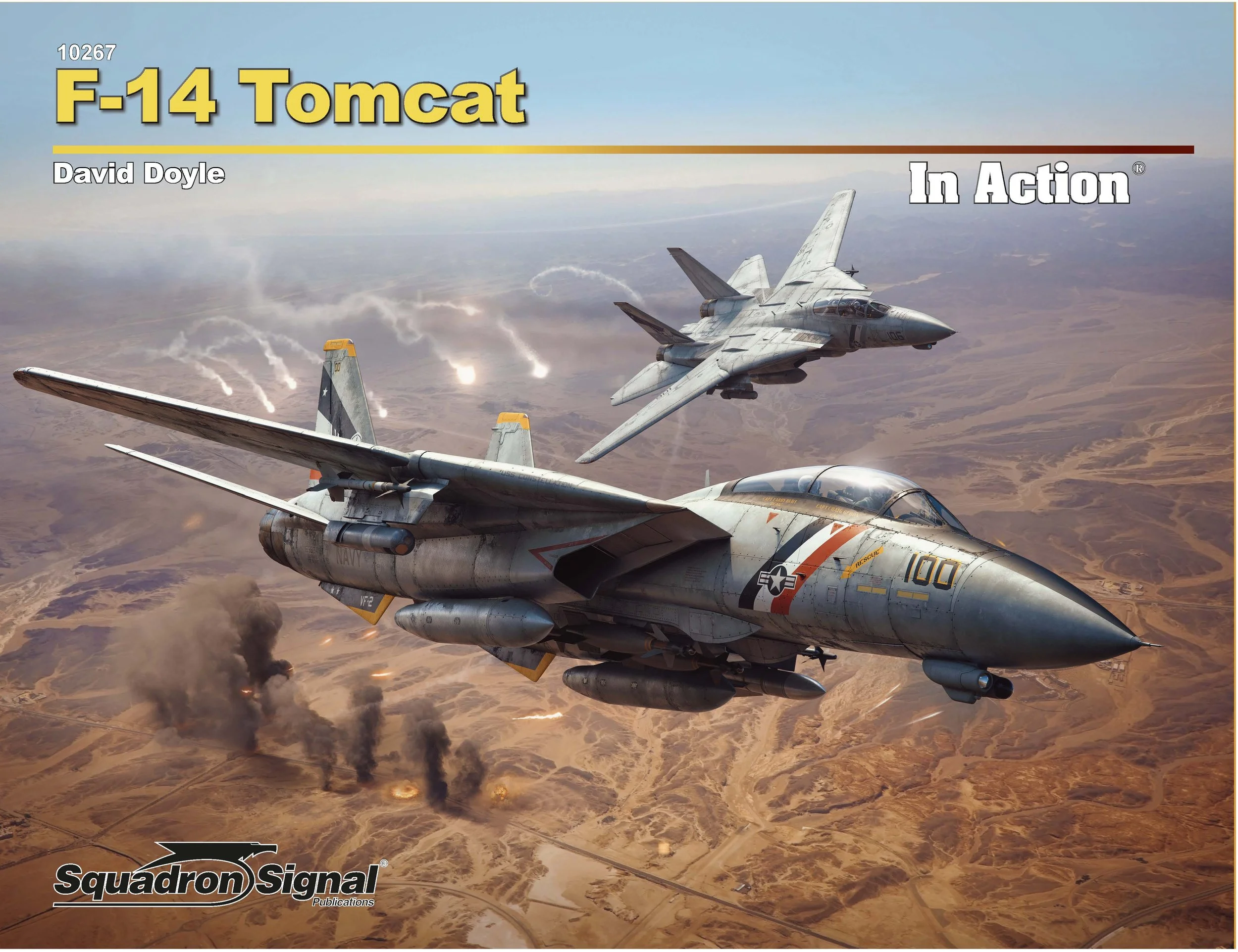 Tomcat Alley: A Photographic Roll Call of the Grumman F-14 Tomcat